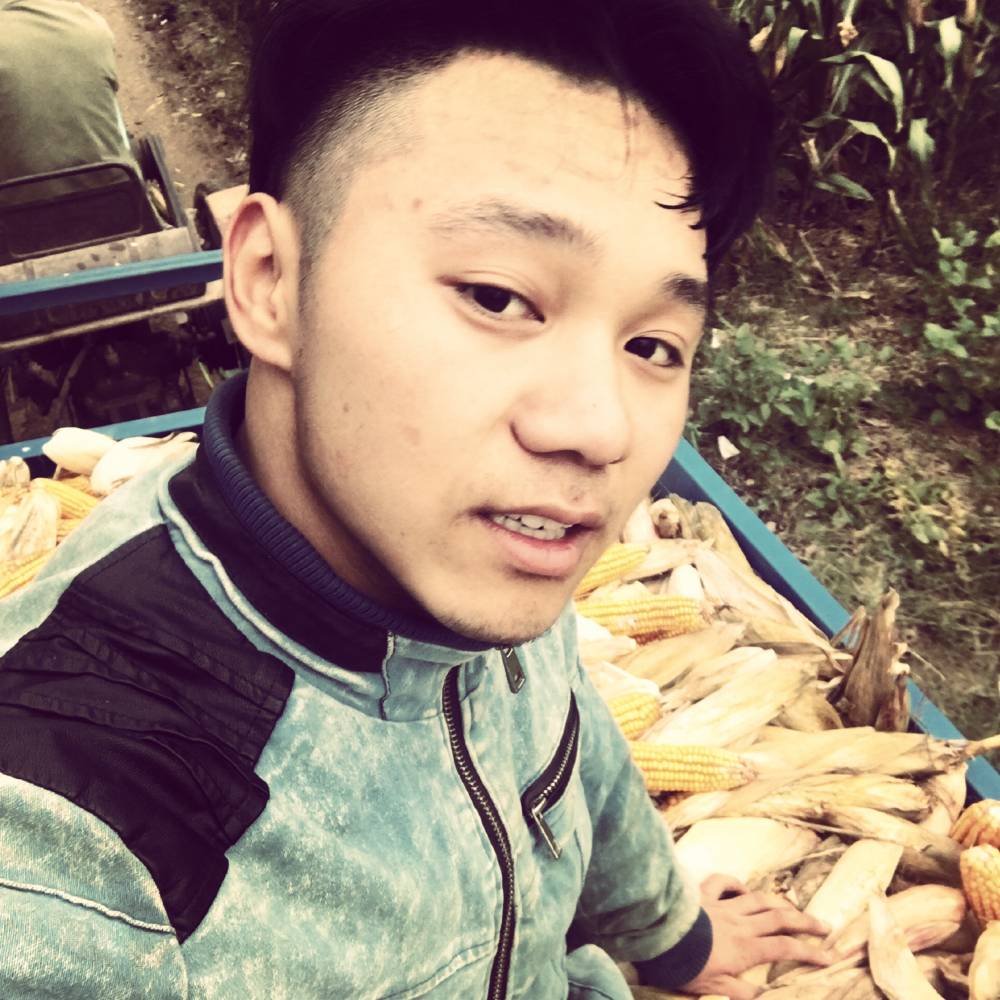 落拓流影的照片