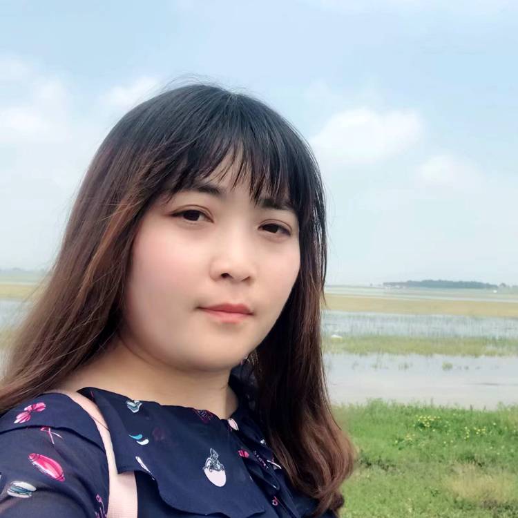 纯真树叶的照片