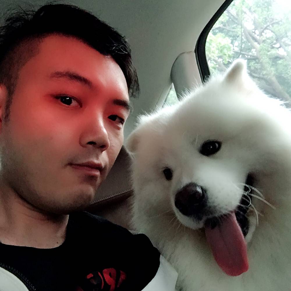 忧郁、夏天的照片