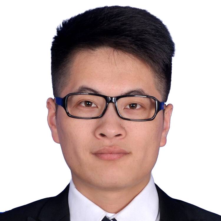 飞翔的帅猪的照片