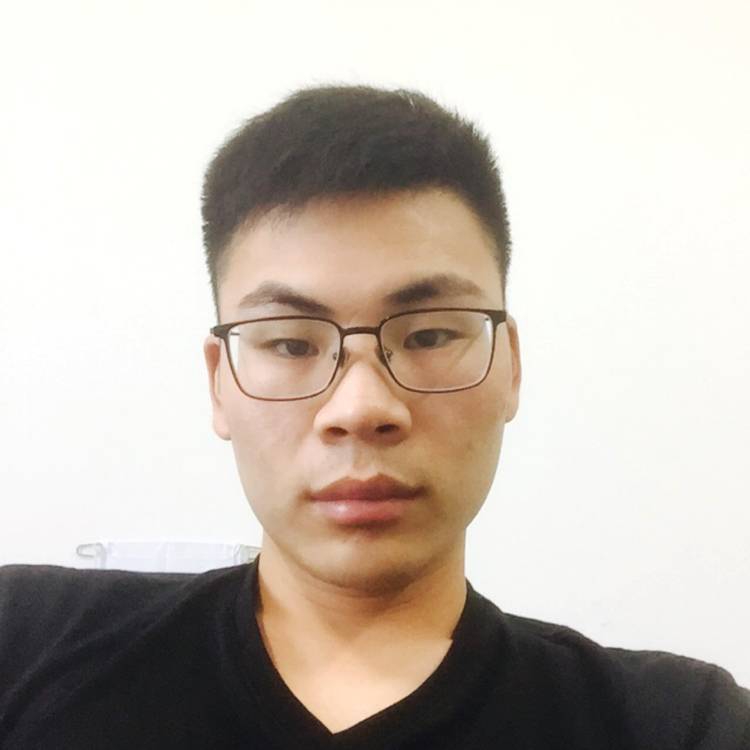 清风惜竹的照片