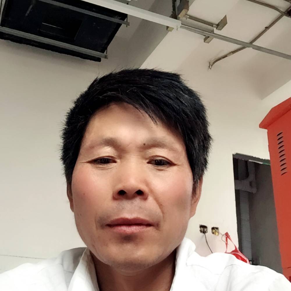迷人鱼的照片