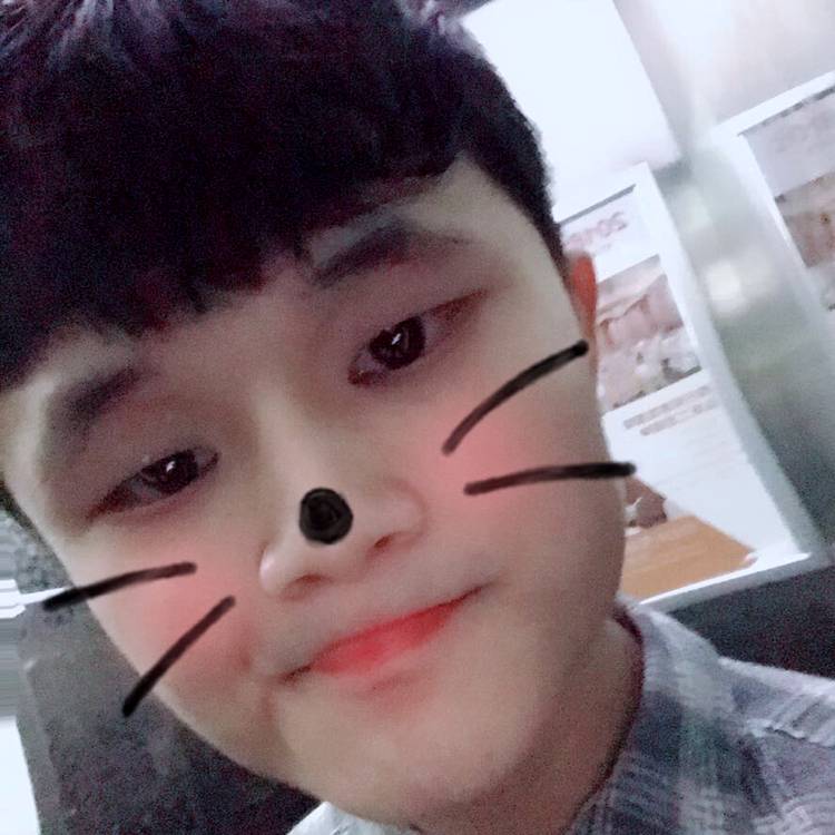 Lego的照片