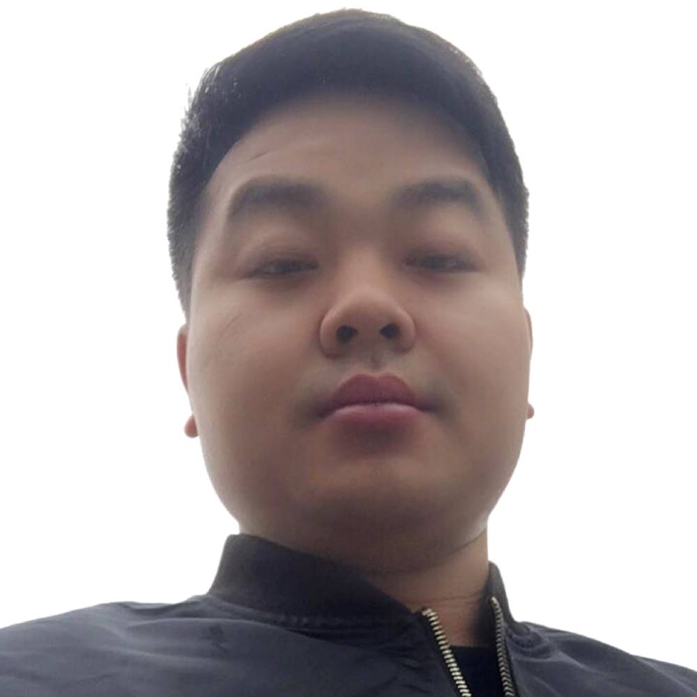 稳重红玫瑰的照片