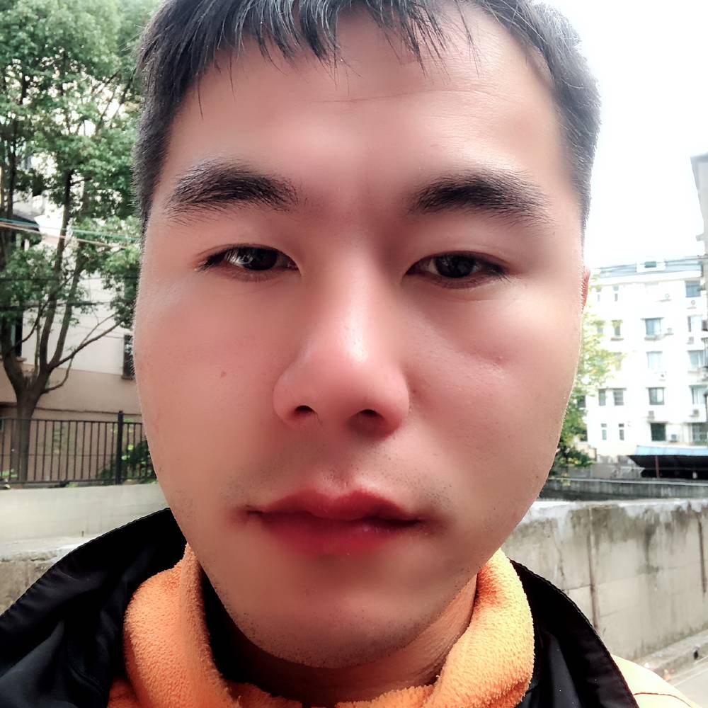 俏皮战斗机的照片