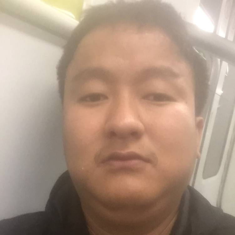 多情蜗牛的照片