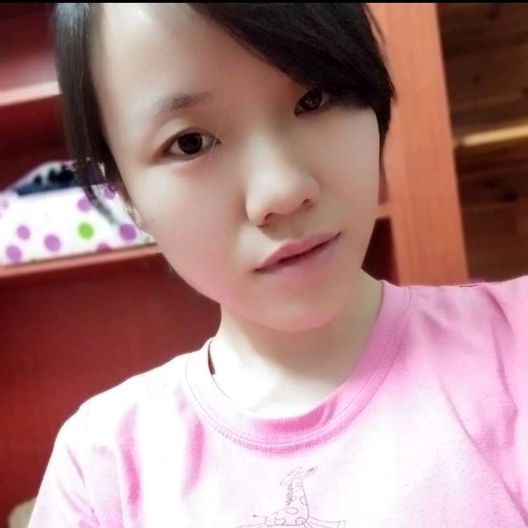 温婉向日葵的照片
