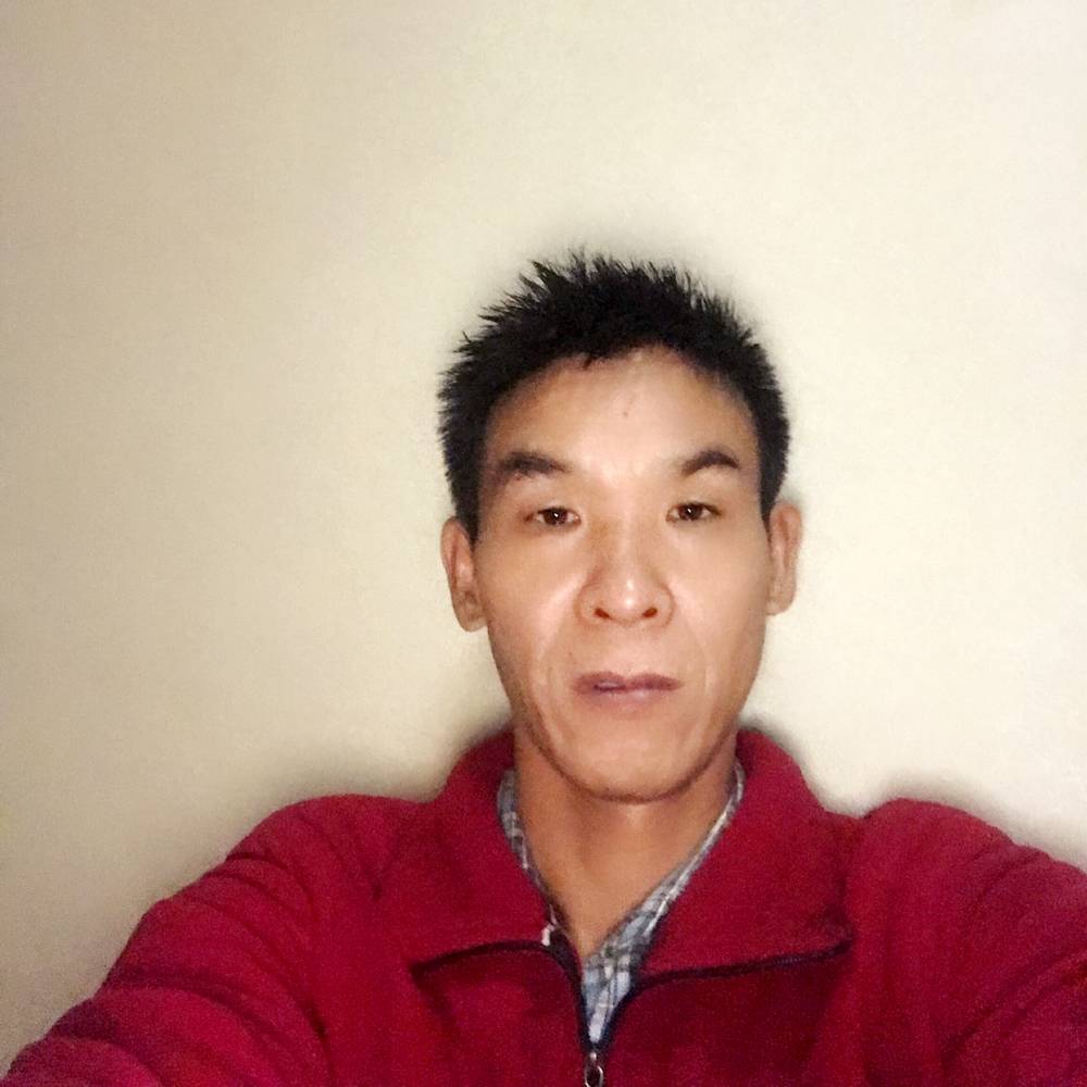 俭朴小蚂蚁的照片