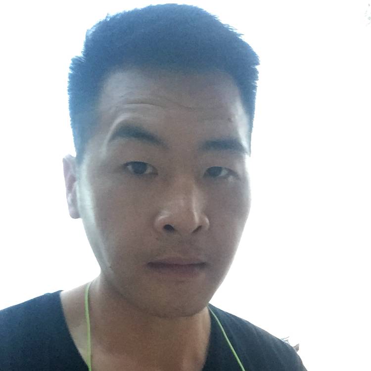 乘风看树的照片