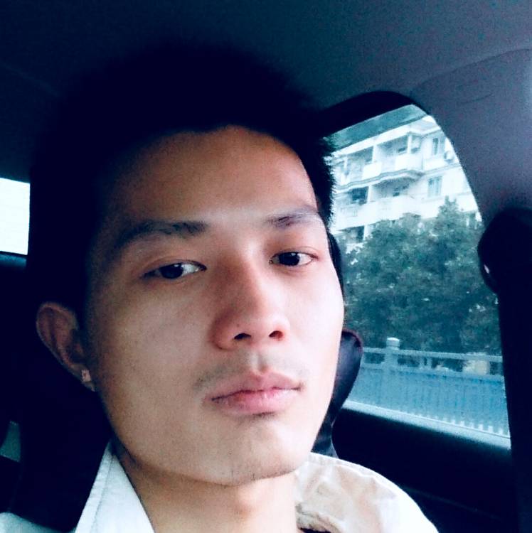 树上打盹的鱼的照片