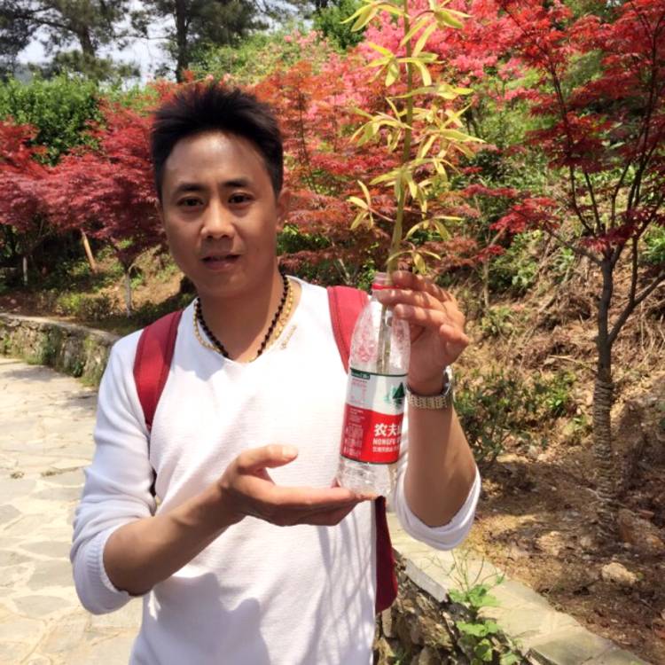 孤星赶的照片