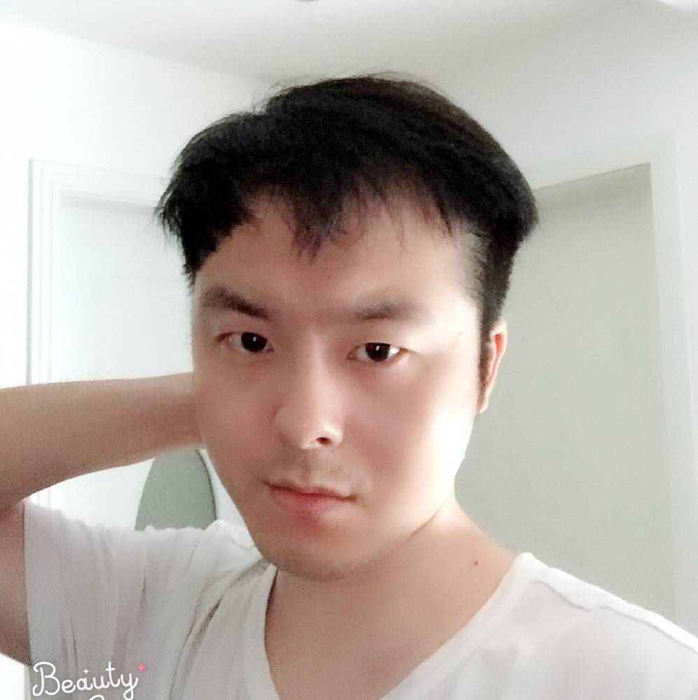 小树后的大象的照片