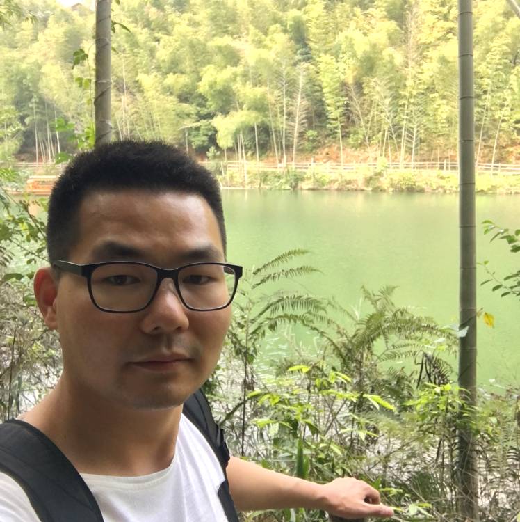 稳重哈密瓜的照片