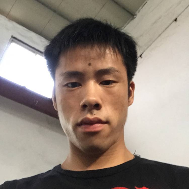 如果可以1的照片
