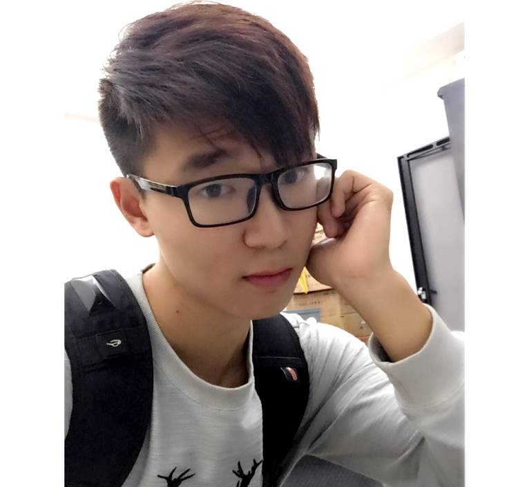 发现一只仓鼠的照片