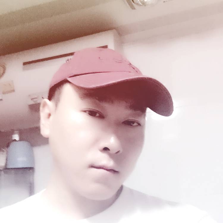 樱花的照片