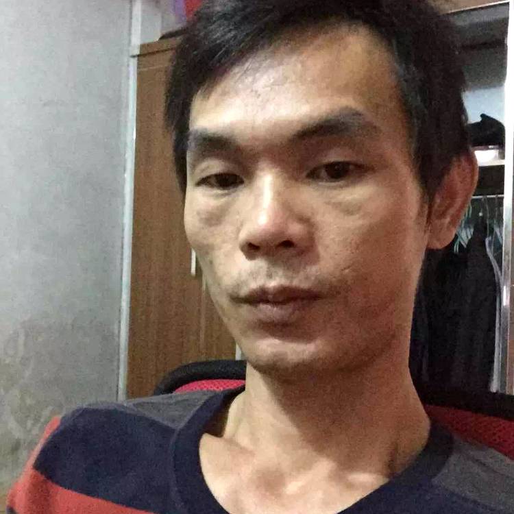 单身小鸽子的照片