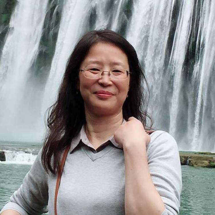 优雅网络的照片