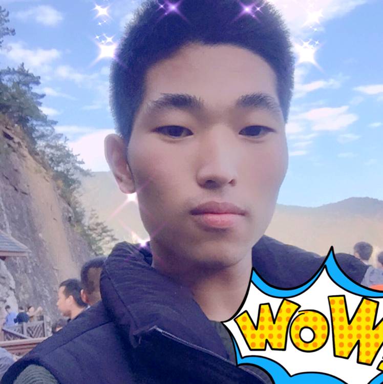 橄榄枝的梦的照片