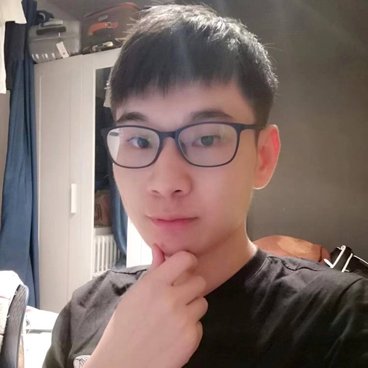 感动猫咪的照片