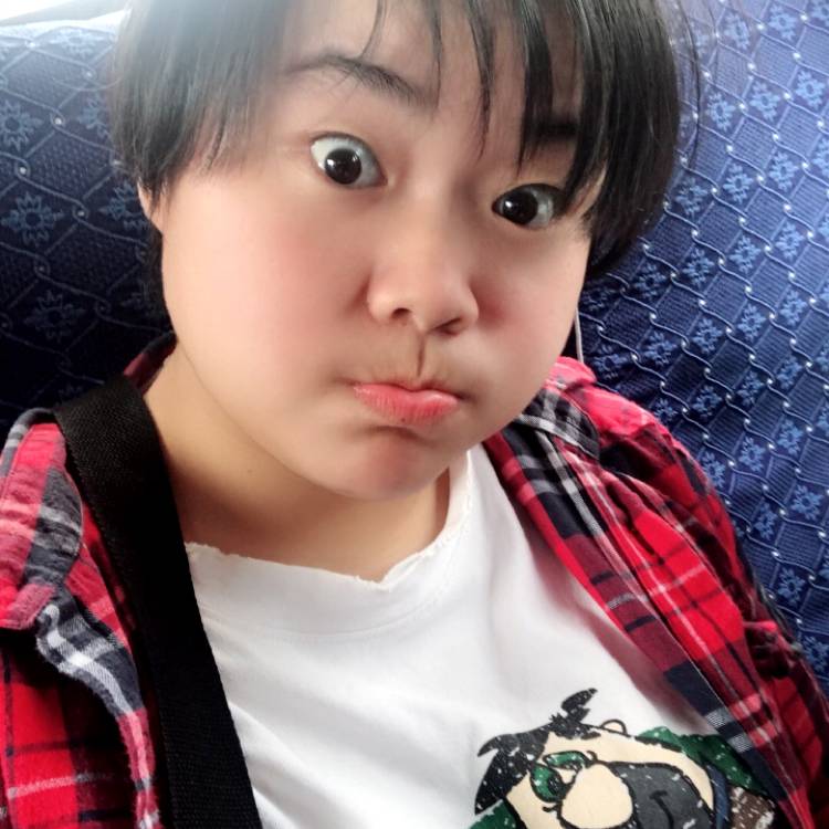 金宝大人的照片