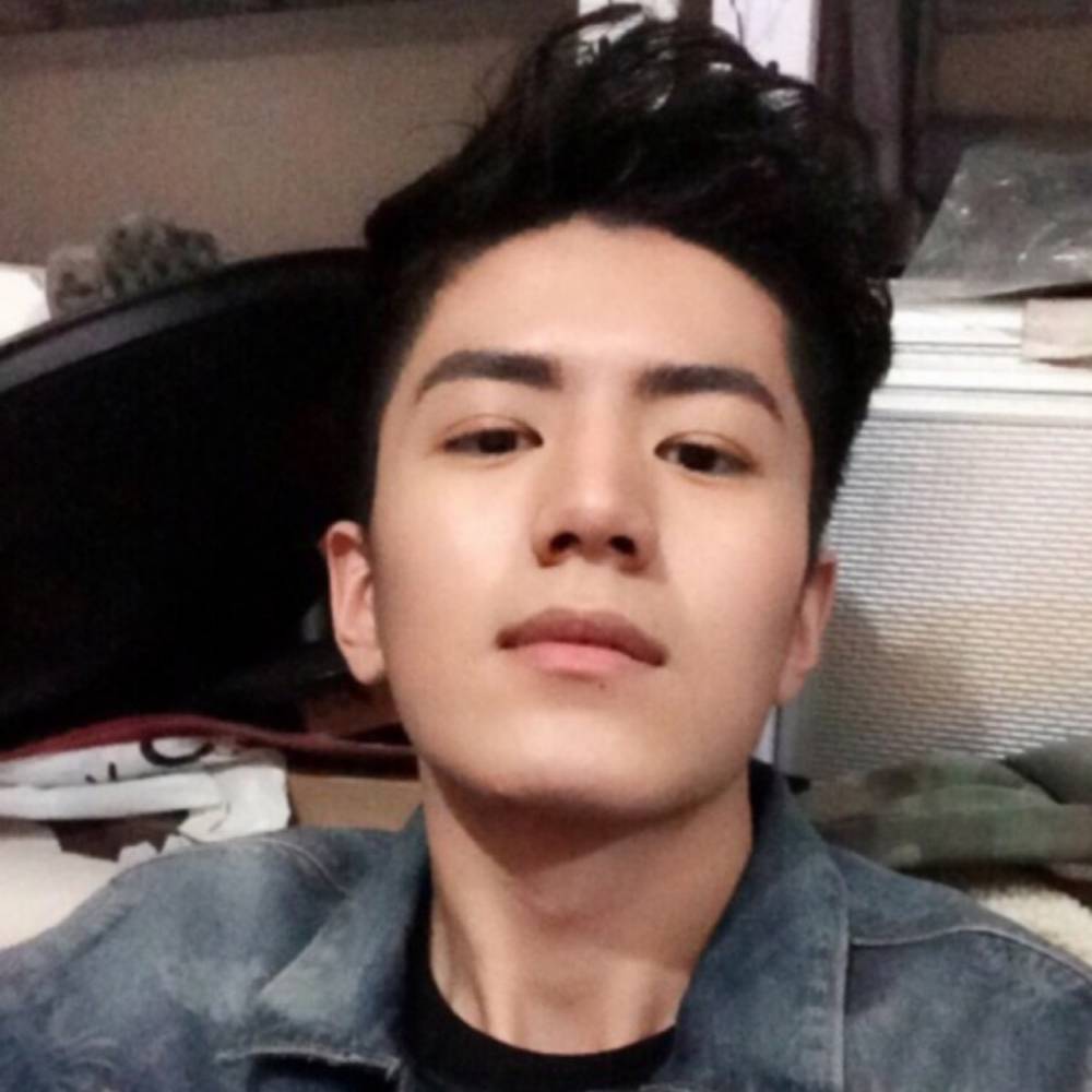 明亮大雁的照片