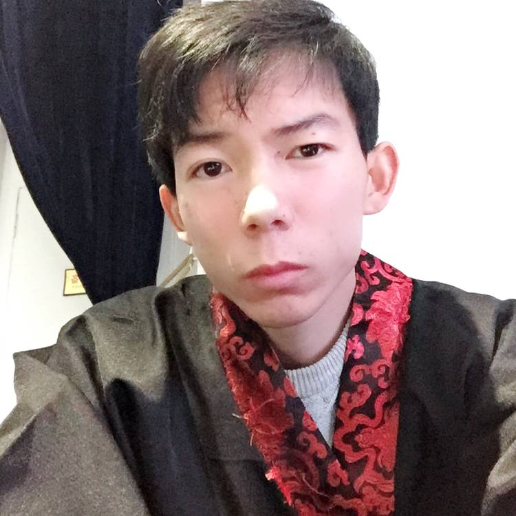知性大象的照片