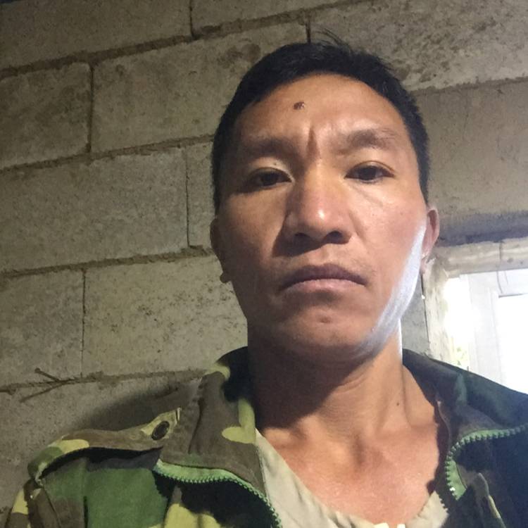 只为你等候520的照片