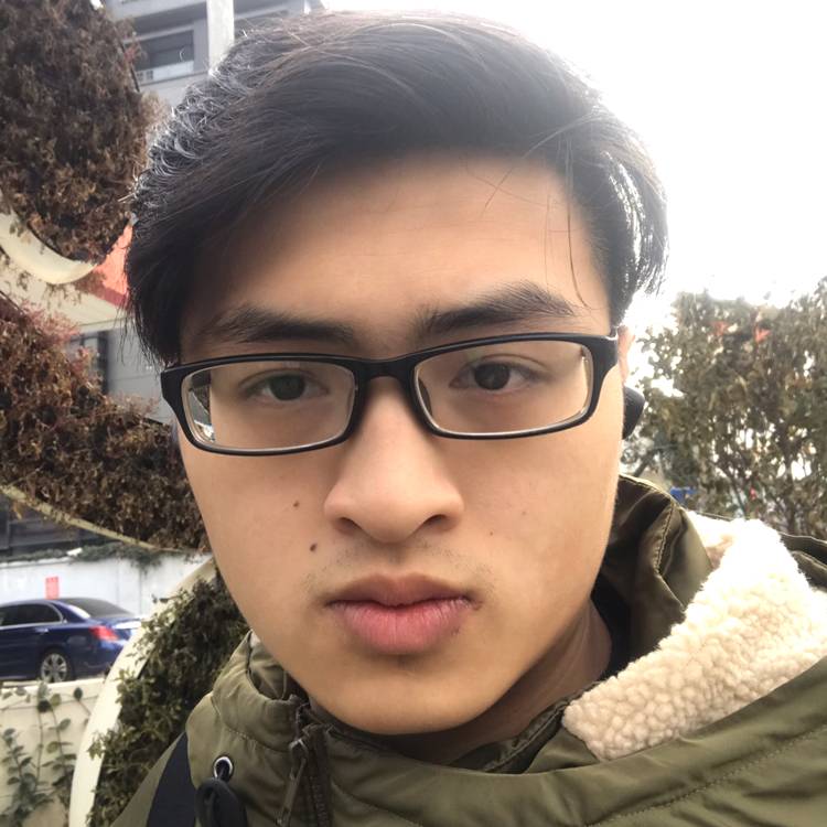 上海小白鲨的照片