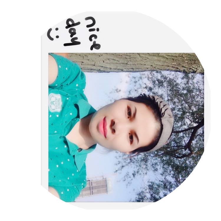 积极乌龟的照片