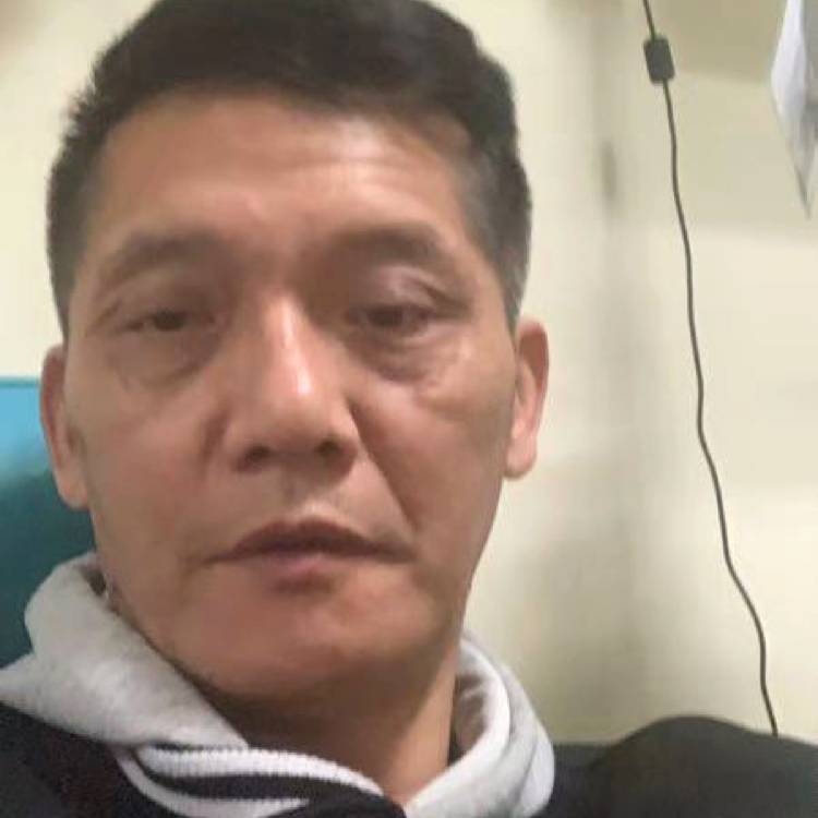 任性金毛的照片