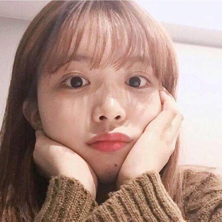 小西与鱼的照片