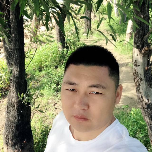 感性绿茶的照片