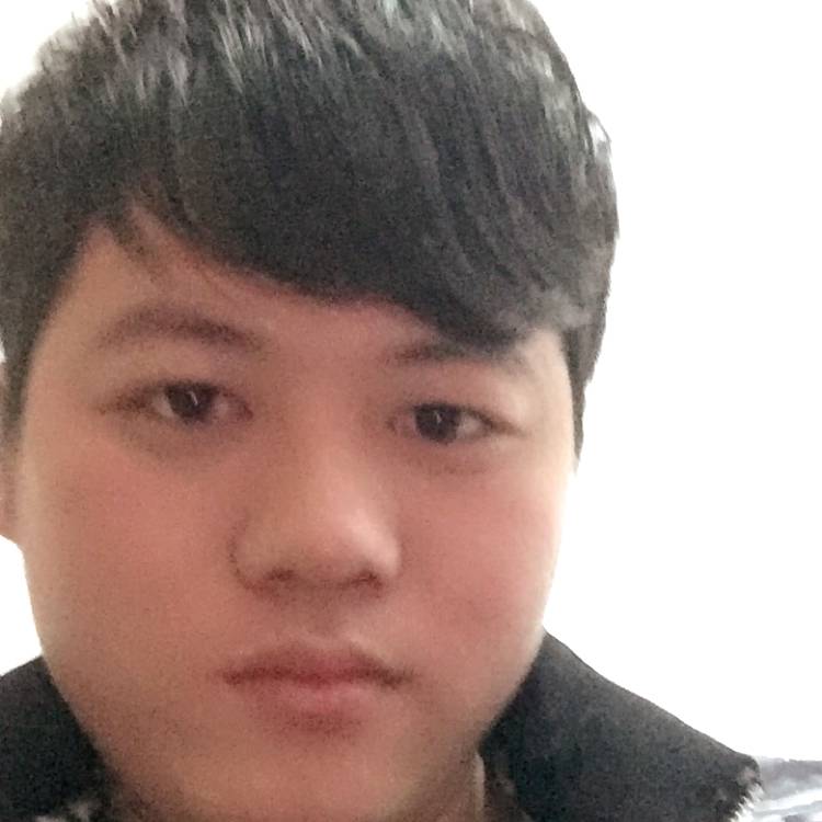 忧虑大雁的照片