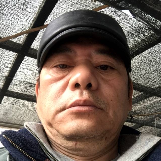 和谐猎豹的照片