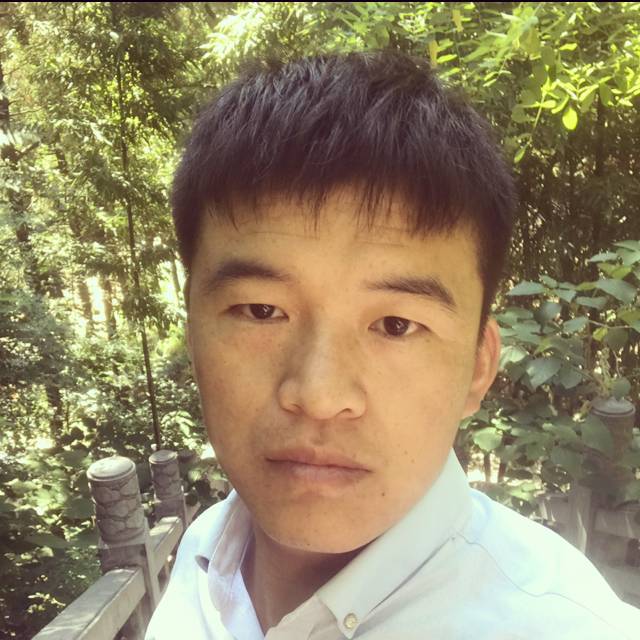 积极太阳的照片