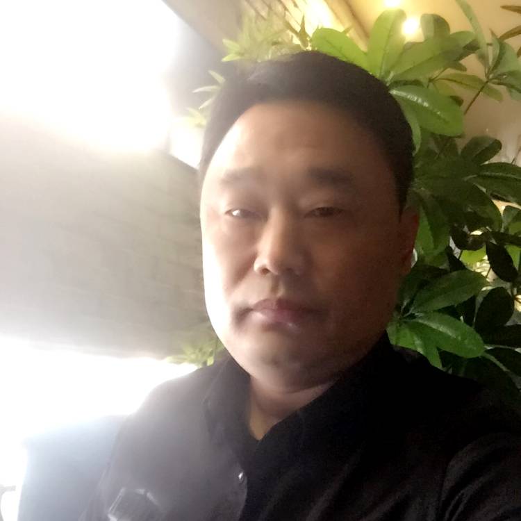 无垠手机12的照片