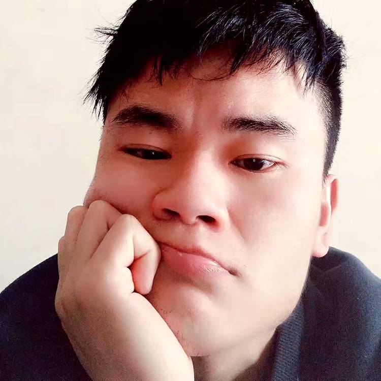 无心猪的照片