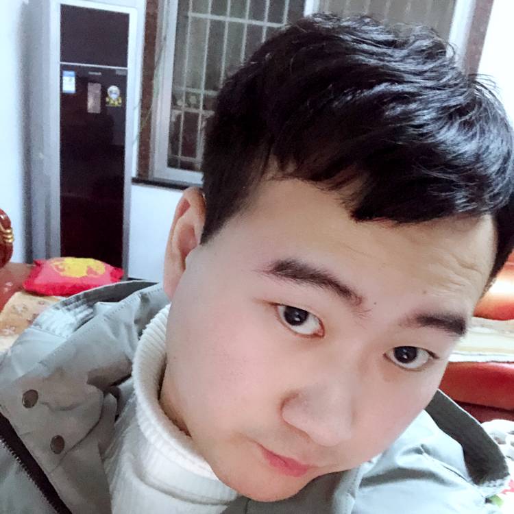 波波是个好小伙子的照片