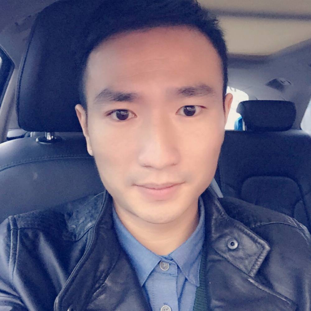 在飞的鸟的照片