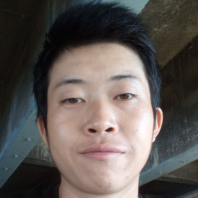 含糊浅吻大雁的照片