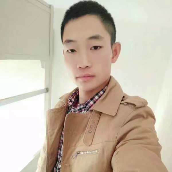 蚂蚁的健忘的照片
