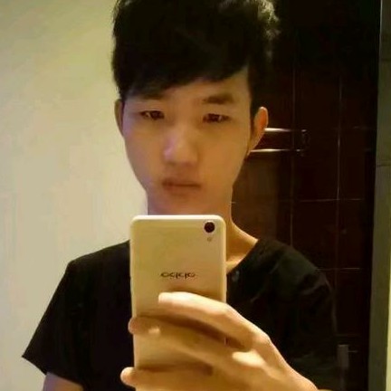 鸡翅演变机智的照片