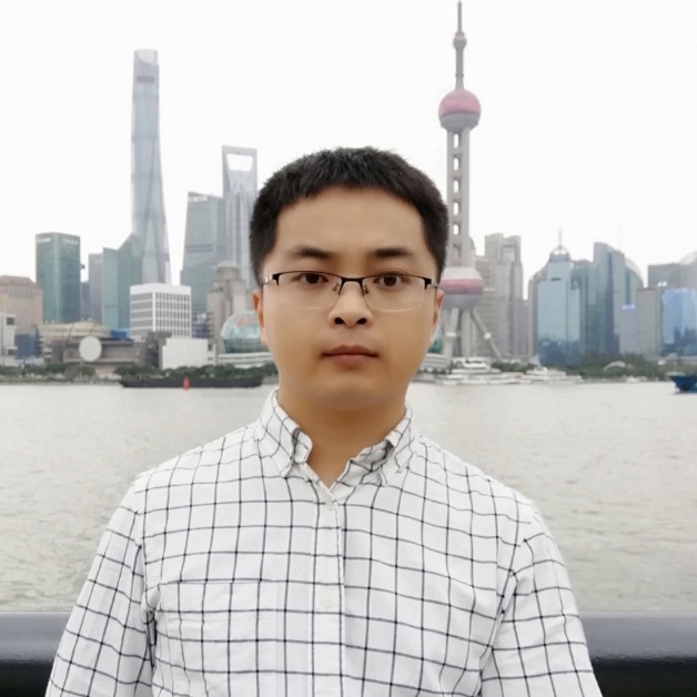 冬天的树的照片