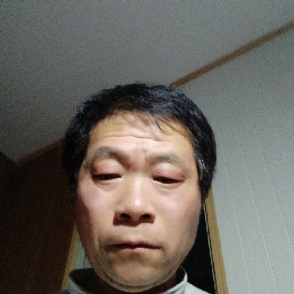 纸鹤如意的照片