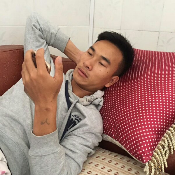 卢先森林的照片
