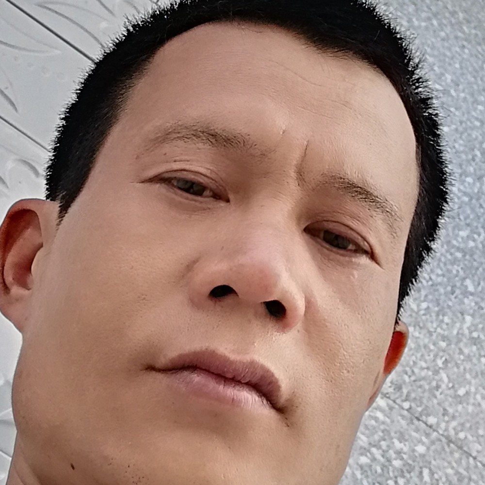 勤恳停止黑米的照片
