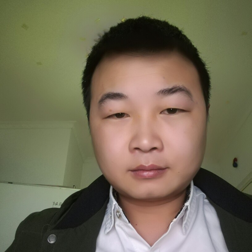 寻木托雷的照片