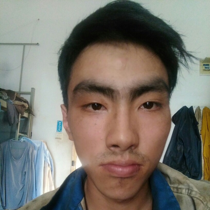 少年苍龙的照片