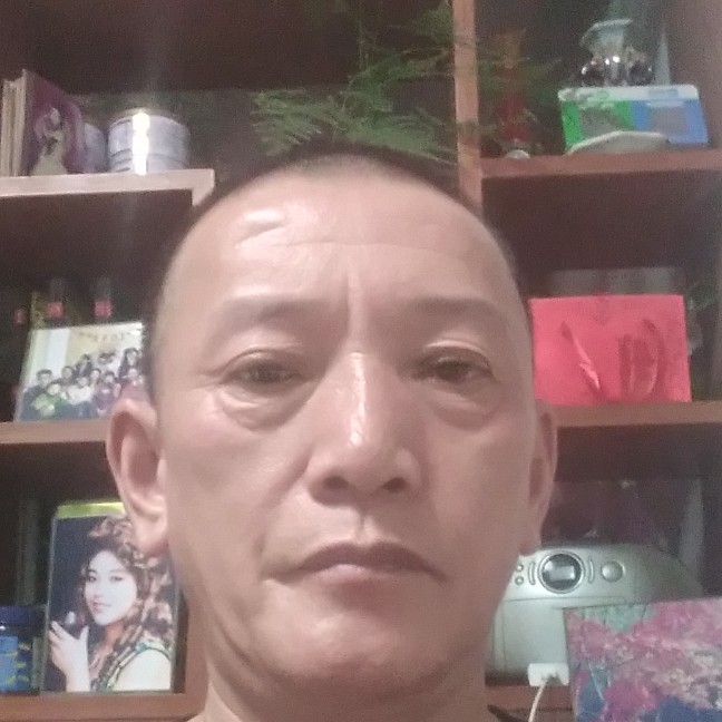 健壮拾忆太阳的照片